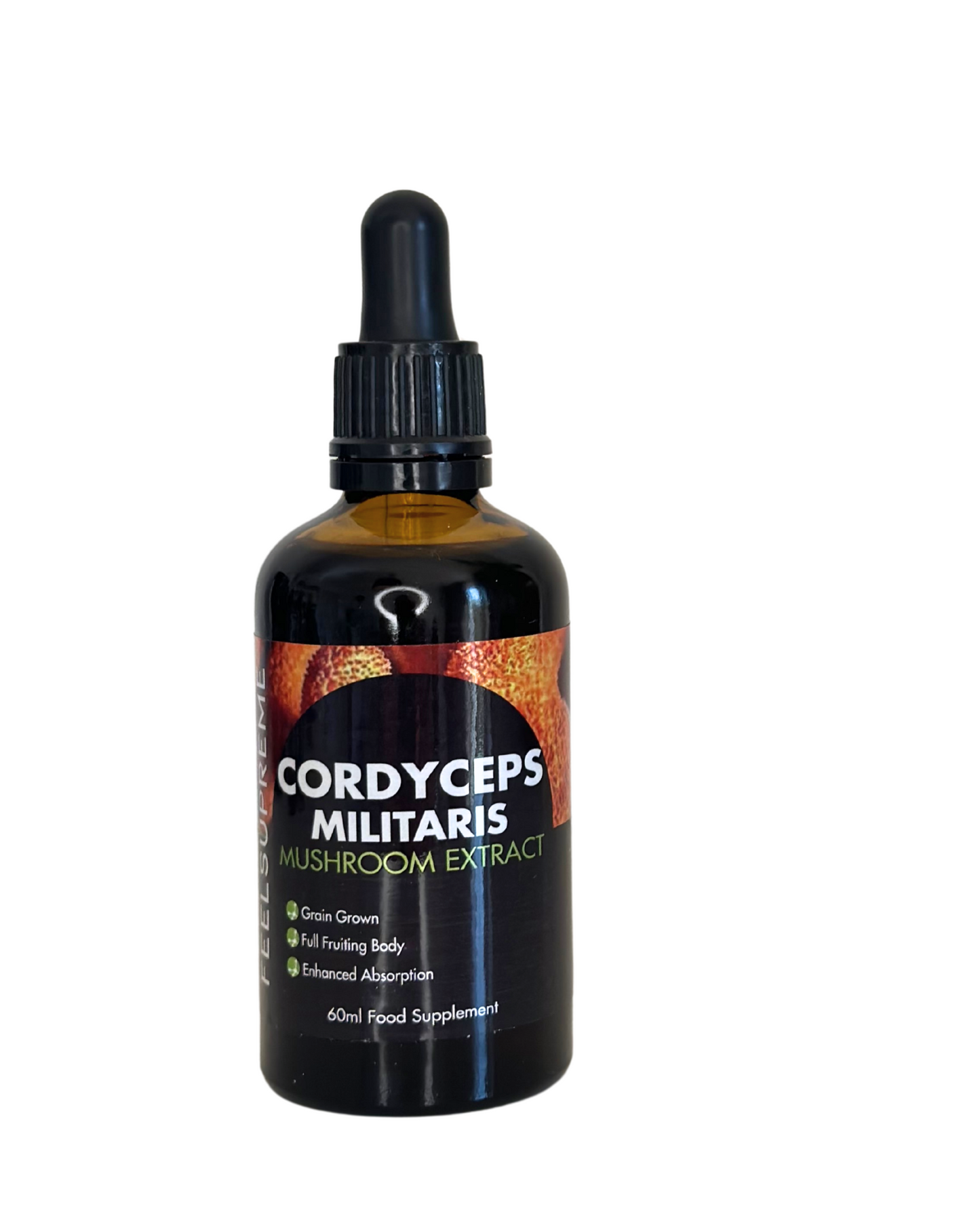 CORDYCEPS
